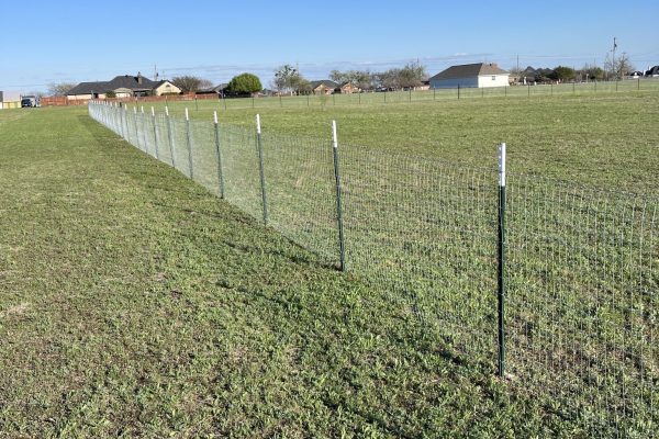Wrought Iron Fence(1)